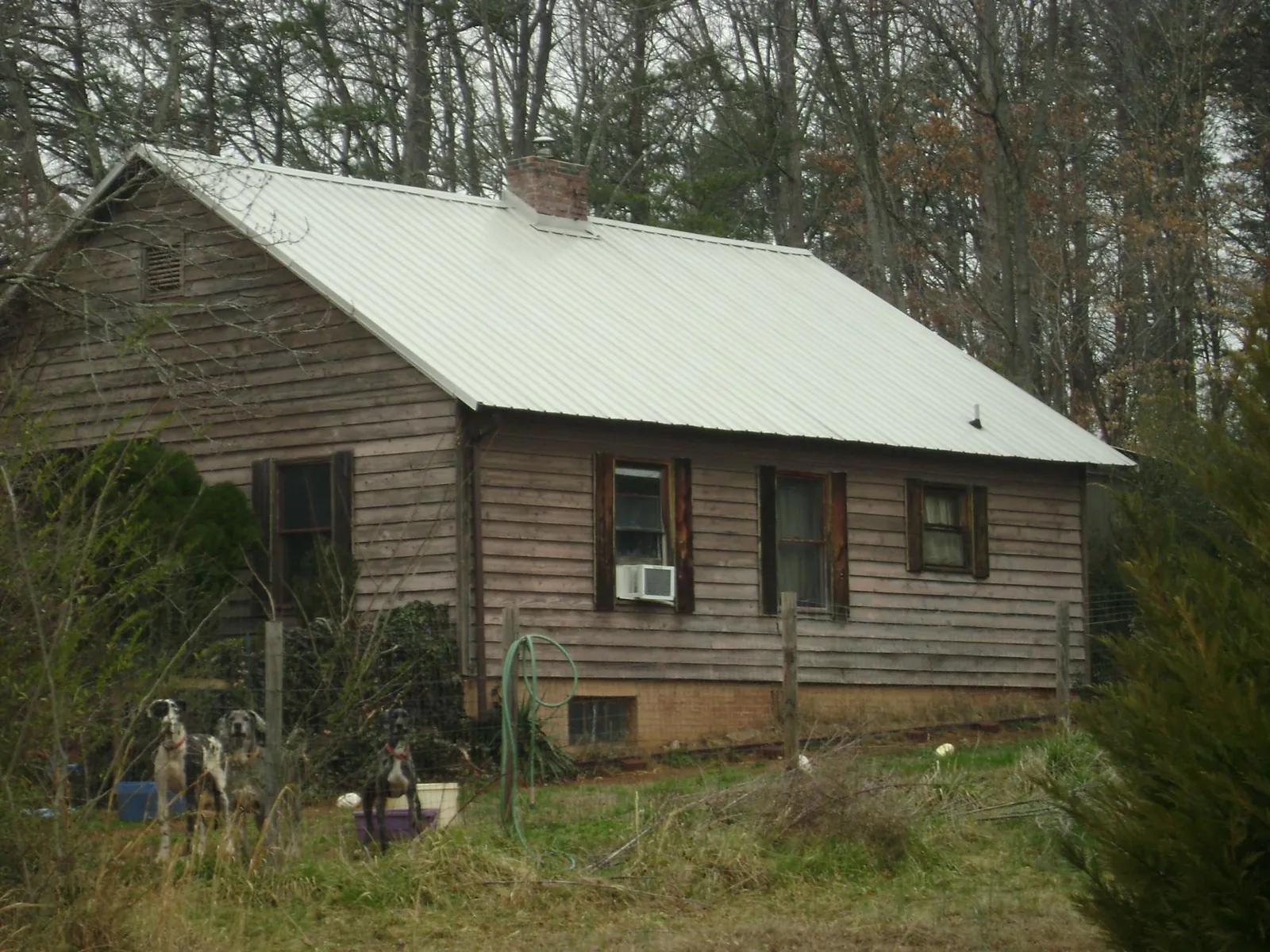 White metal roof on an old wood sided farmhouse, from a Metal Roof Installation job in Kingsley